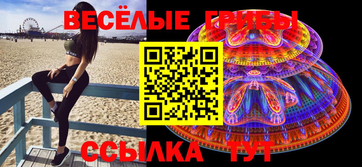 Галлюциногенные грибы Magic Shrooms  Вход с VPN  Подольск 